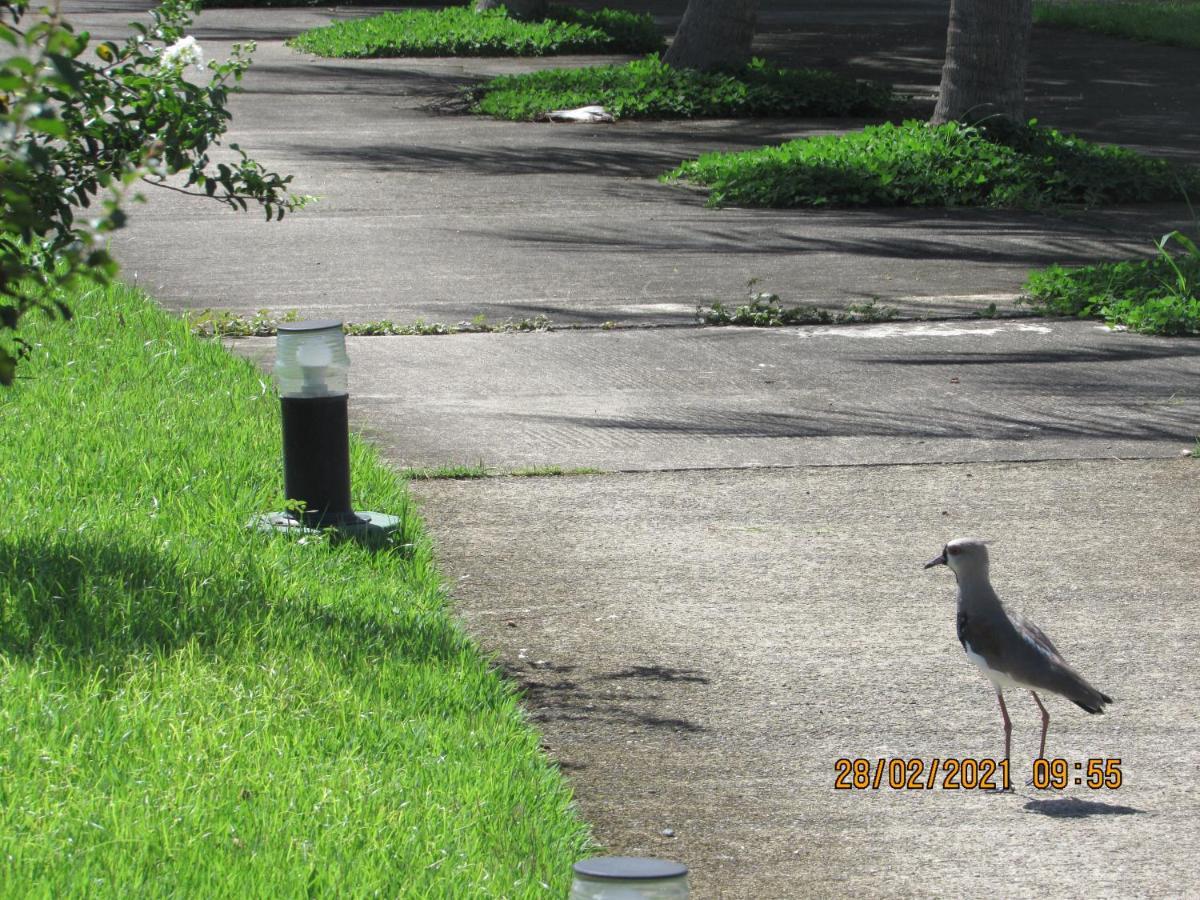 Sahy - Aldeia Dos Reis, Condado - Apartamento Quarto E Sala มันการาทีบา ภายนอก รูปภาพ